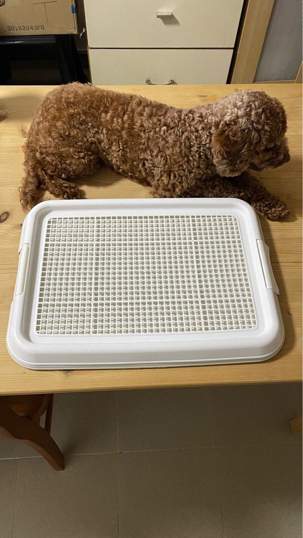 Dog top pee pen