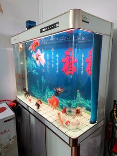 (Category: ) located in . Submitted by kc345 (Listing ID 1239407297, Image 1). Description: .