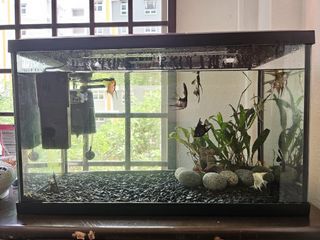 (Category: ) located in . Submitted by atlia (Listing ID 1236825097, Image 1). Description: .
