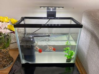 (Category: ) located in . Submitted by iskokiks54 (Listing ID 1239340357, Image 1). Description: .
