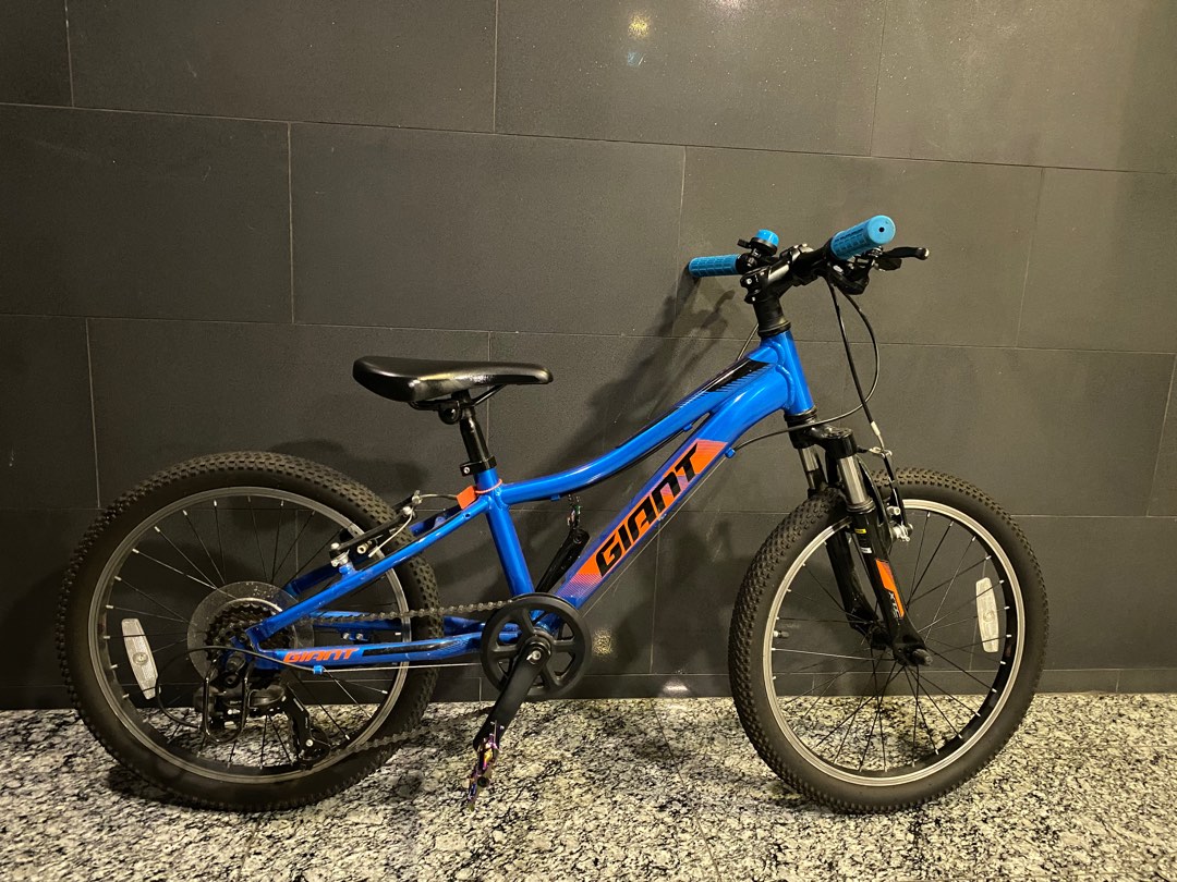 Giant Xtc jr 20 inch mountain bike Sports Equipment Bicycles