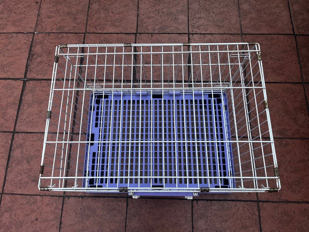 Guinea Pig Accessories Pet Supplies Homes Other Pet