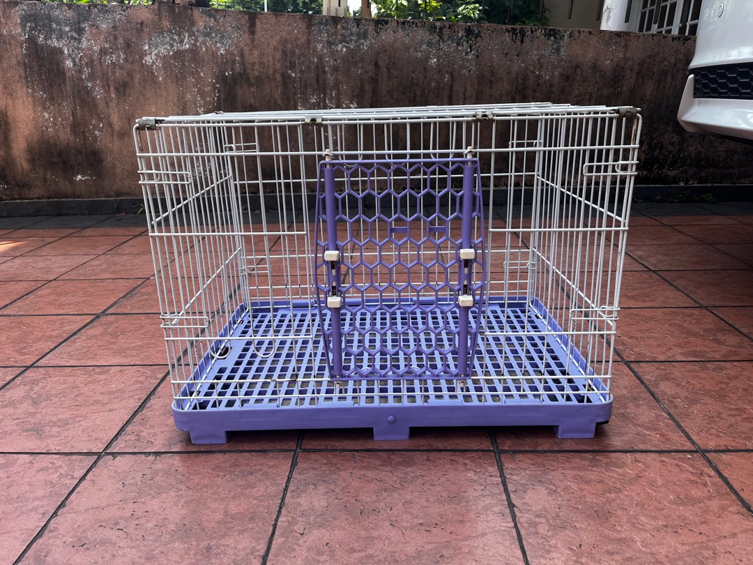 Cheap guinea pig supplies discount