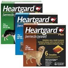 Heartgard plus under 25 lbs top