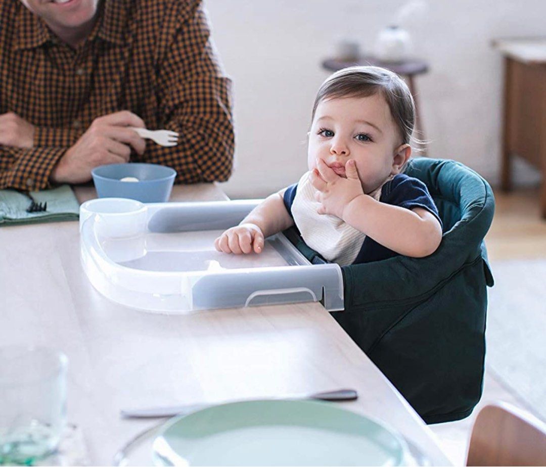 Inglesina fast dining tray discount