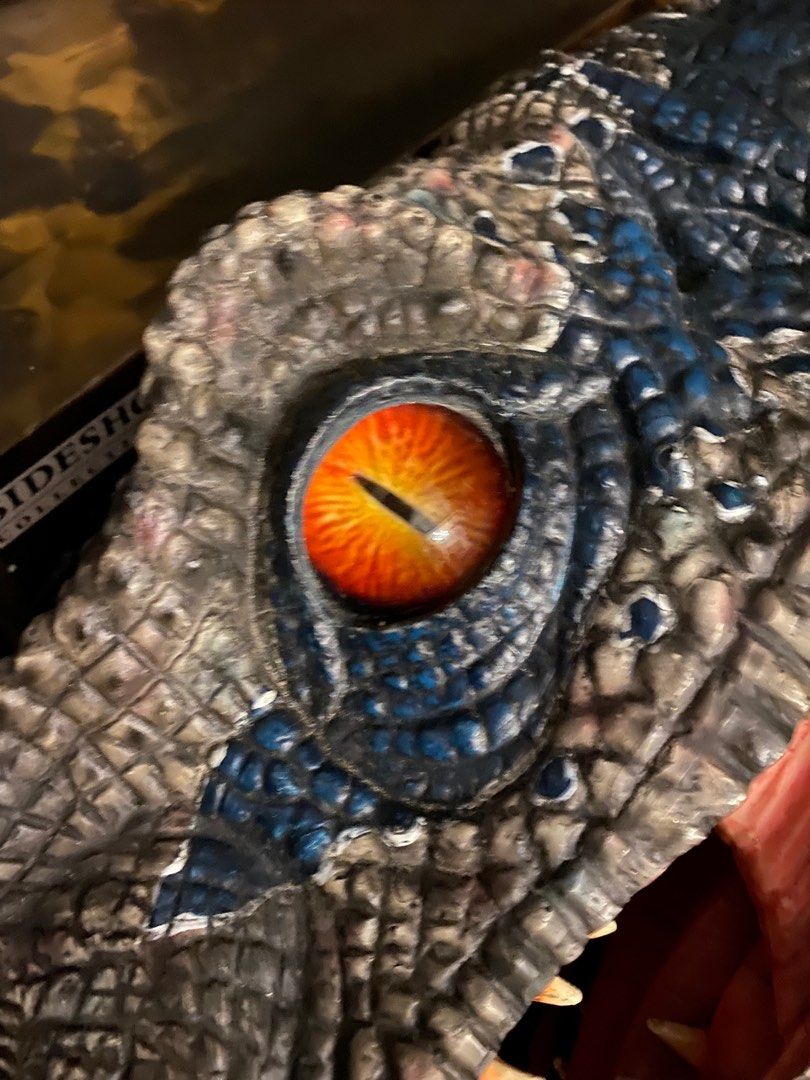 Jurassic park Estatua Velociraptor Blue Life size head wall mount