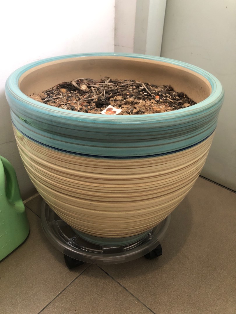 Pot for free, Furniture & Home Living, Gardening, Pots & Planters on