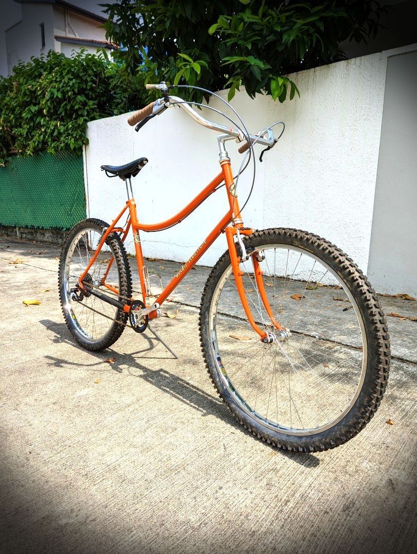 Rivendell Susie Longbolts 56cm L 29er MTB hillybike mountain bike
