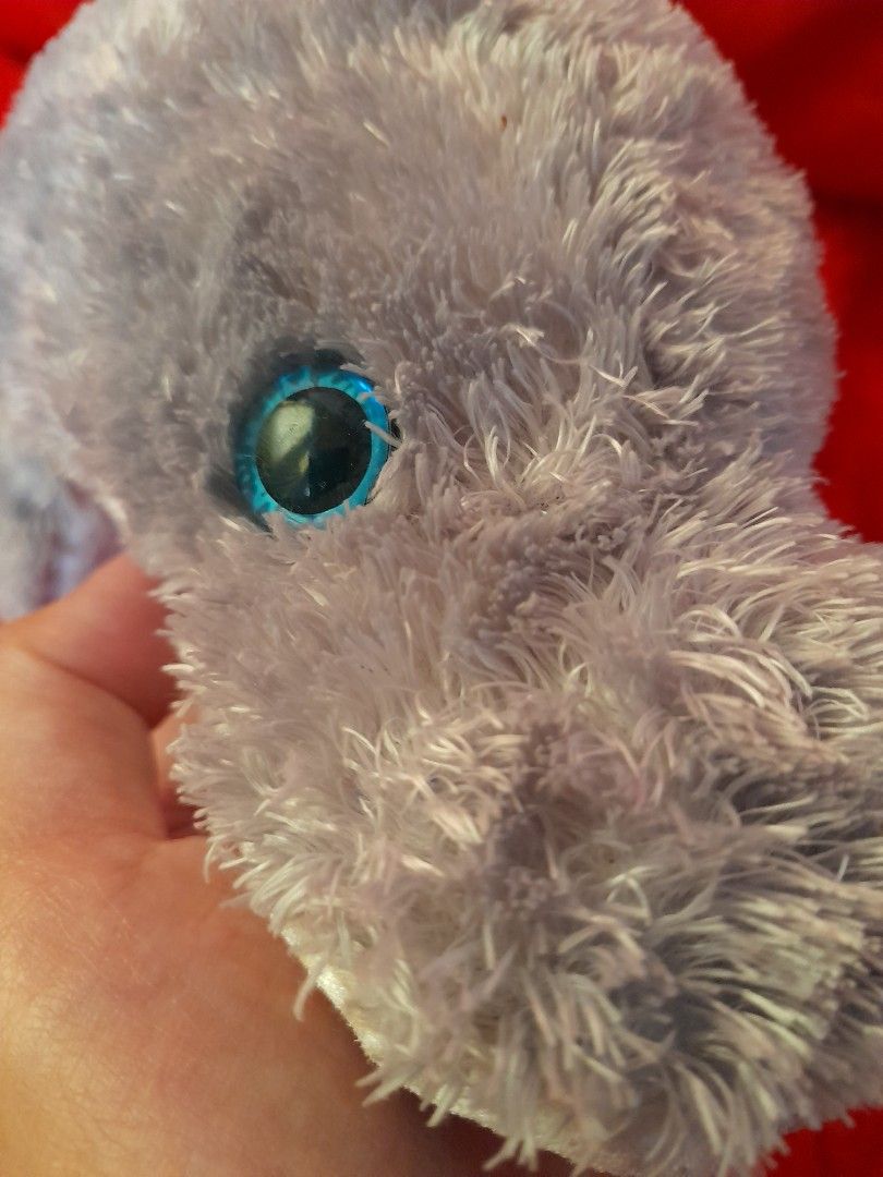 Shark ty plush (Category: Plushies & Soft Toys) located in Iligan City. Submitted by shehabdor98515 (Listing ID 1239348141, Image 2). Description: excellent condi nice details.