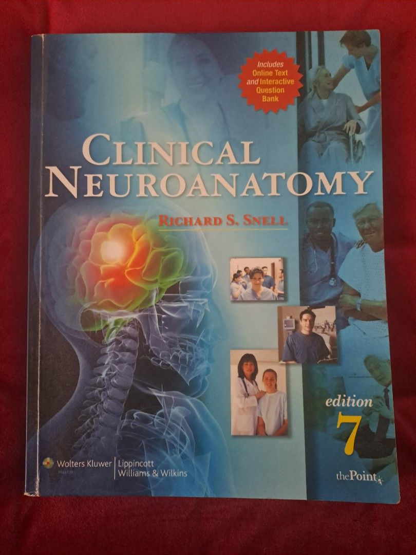 Blake Snell visual data 5