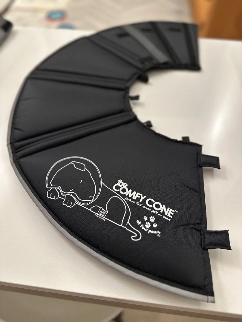 The Comfy Cone Large Pet Supplies Health Grooming on Carousell