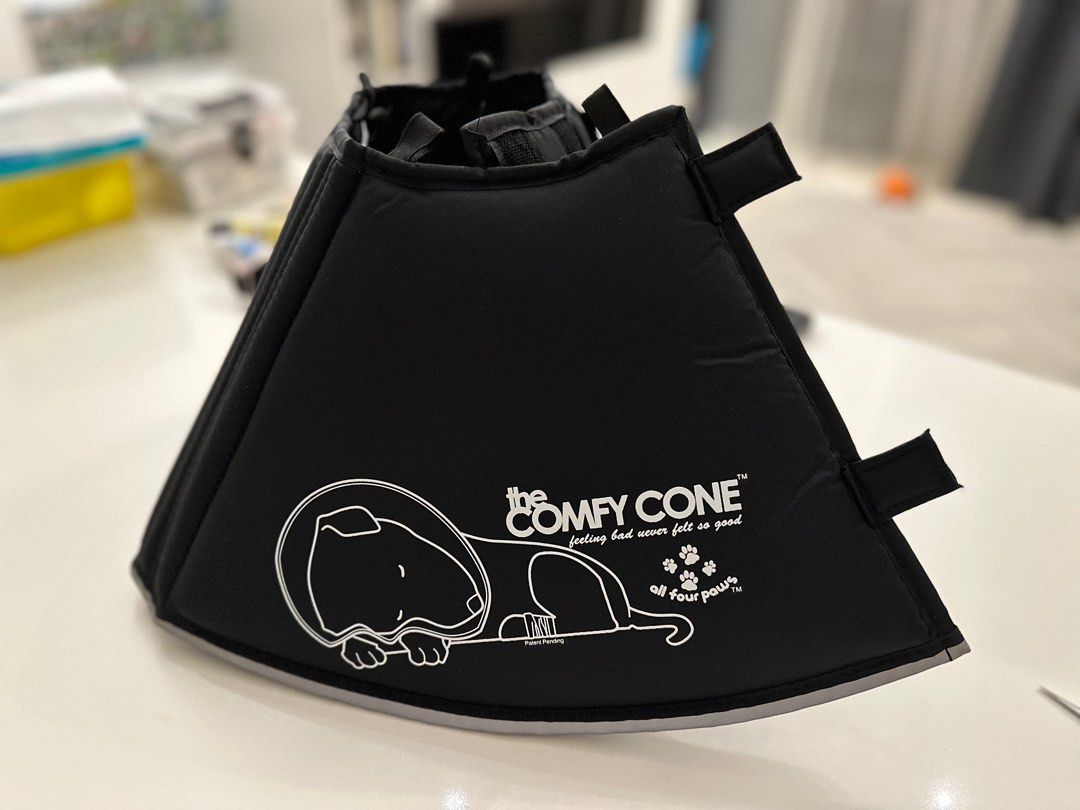The Comfy Cone Large Pet Supplies Health Grooming on Carousell