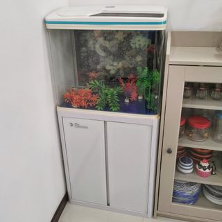 (Category: ) located in . Submitted by mridzal (Listing ID 1239709058, Image 1). Description: .