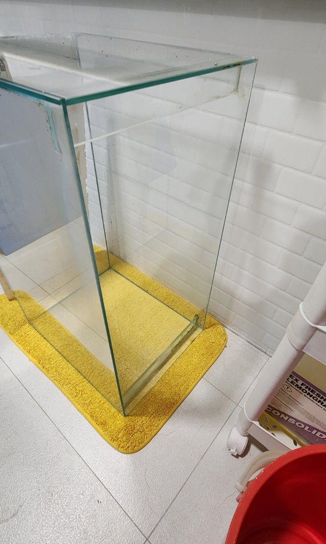 2ft Fish tank, Pet Supplies, Homes & Other Pet Accessories on Carousell