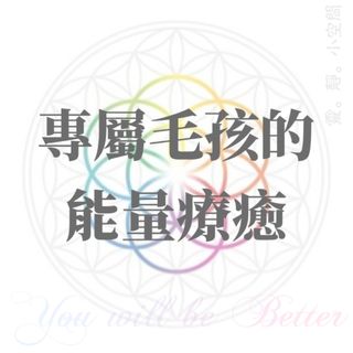 （分類：）位於 。 由 You_will_be_better 提交（商品編號 1068933560，圖片 1）。簡介： 。