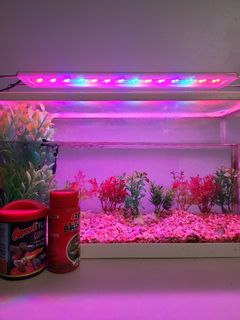 (Category: ) located in . Submitted by bsps5g (Listing ID 1239656112, Image 1). Description: .