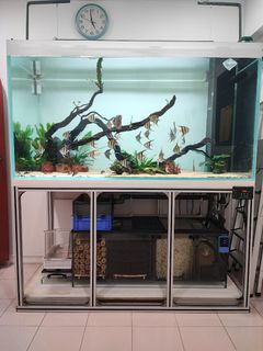 (Category: ) located in . Submitted by sawadee555 (Listing ID 1239709213, Image 1). Description: .