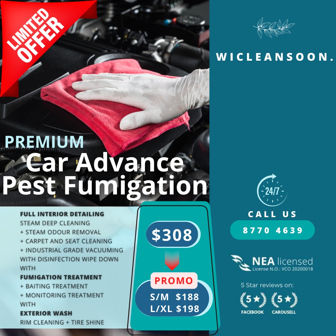 Interior detailing / Exterior wash / Exterior polishing / Interior pest