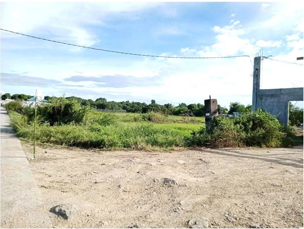 JDL FOR SALE 1 Hectare Agricultural Land in San Rafael, Bulacan