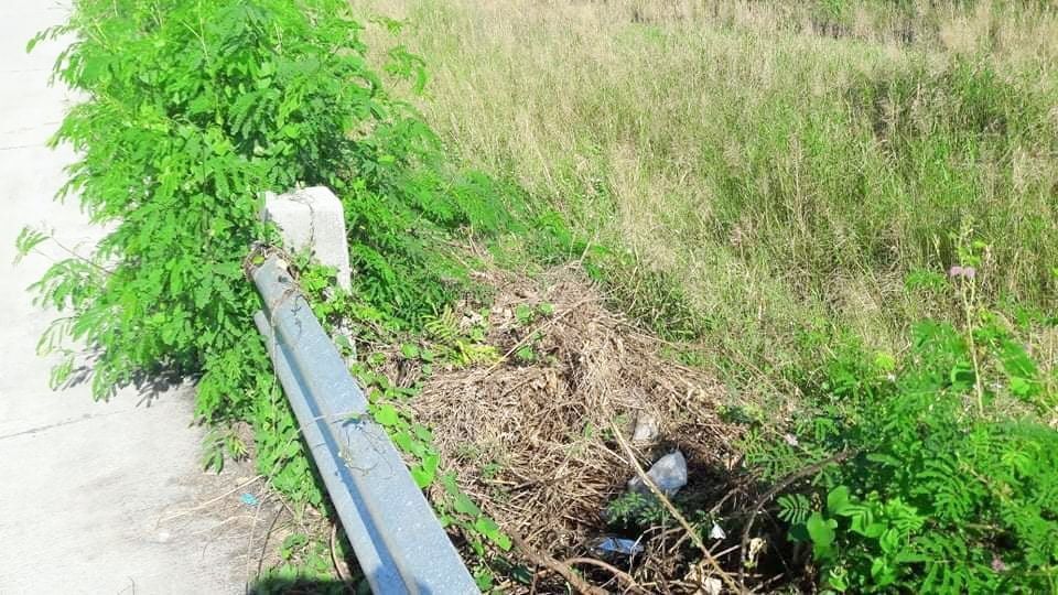 JDL FOR SALE 5.6 Hectare Agricultural Lot in Guagua Pampanga