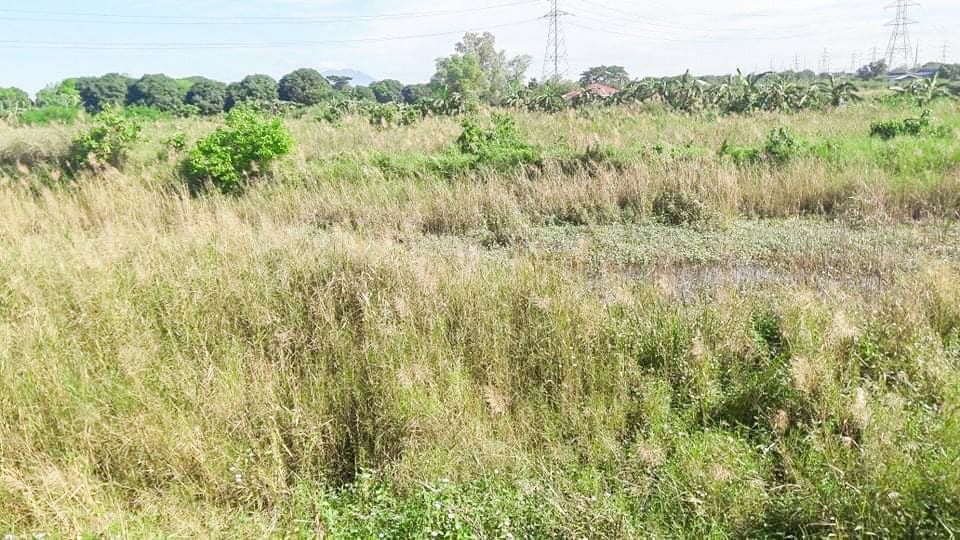 JDL FOR SALE 5.6 Hectare Agricultural Lot in Guagua Pampanga
