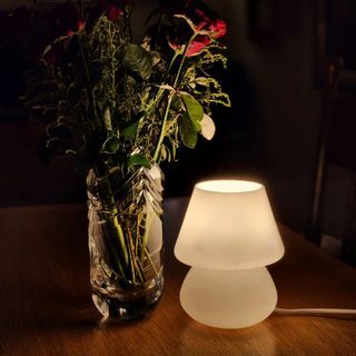 Matte White Glass Mushroom Lamp