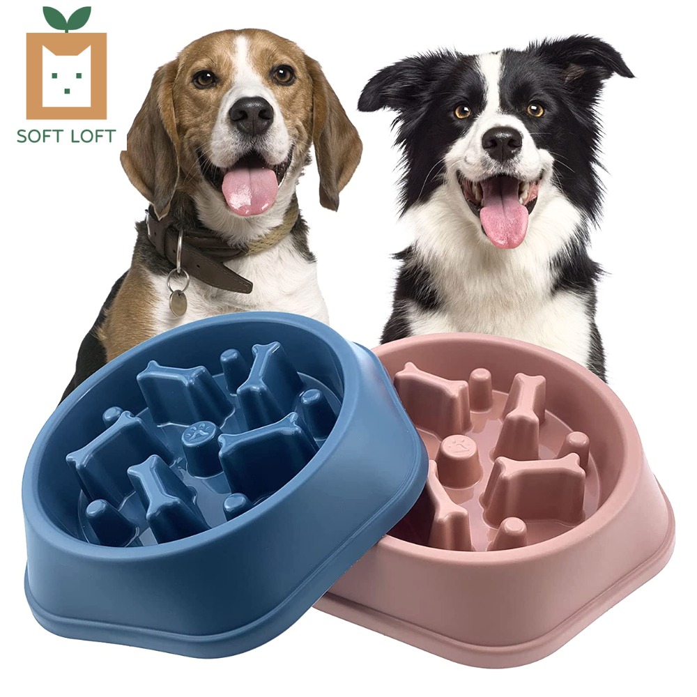 Pet Anti Choke Bowl Cat Dog Puppy Feeder Slow Eating Bowl Pet Bowl