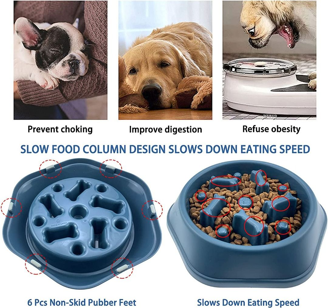View of Pet Anti Choke Bowl Cat Dog Puppy Feeder Slow Eating Bowl Pet Bowl ...