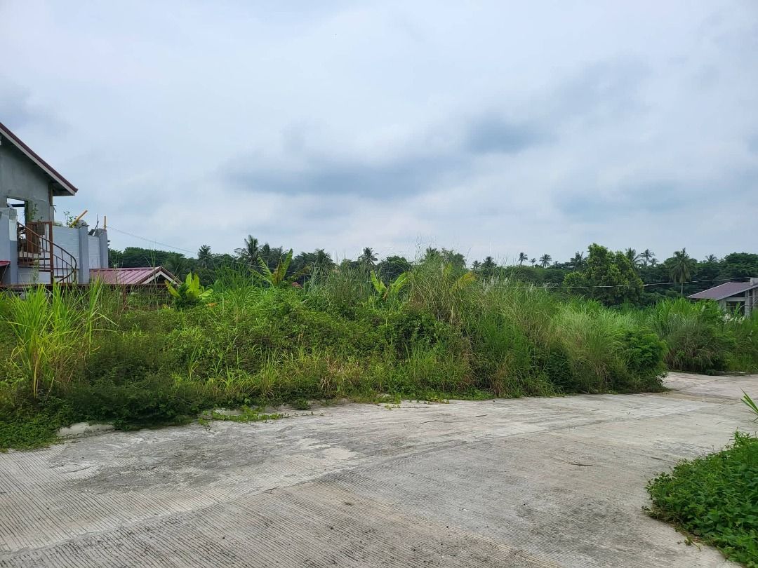 Residential Farm lot in Silang Cavite,near Zen Garden, Property, For