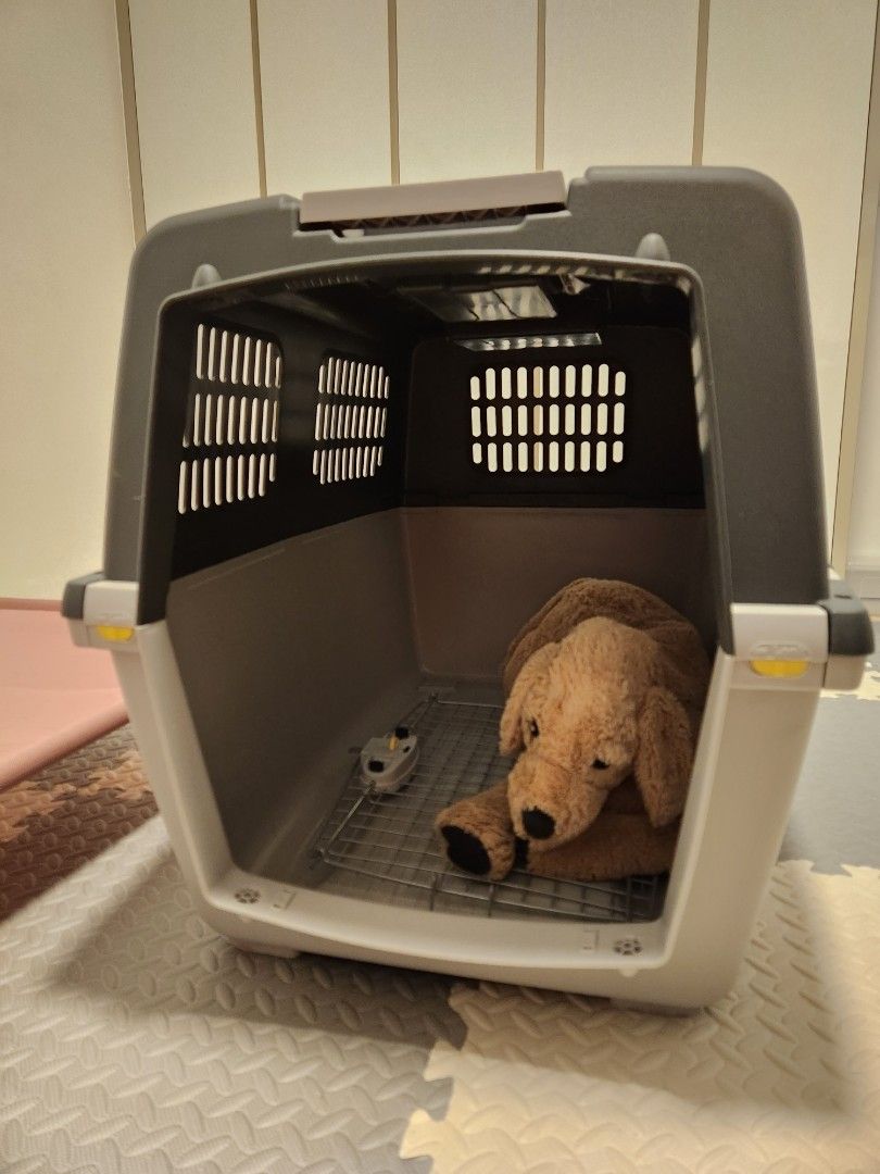 Gulliver 6 2025 dog carrier