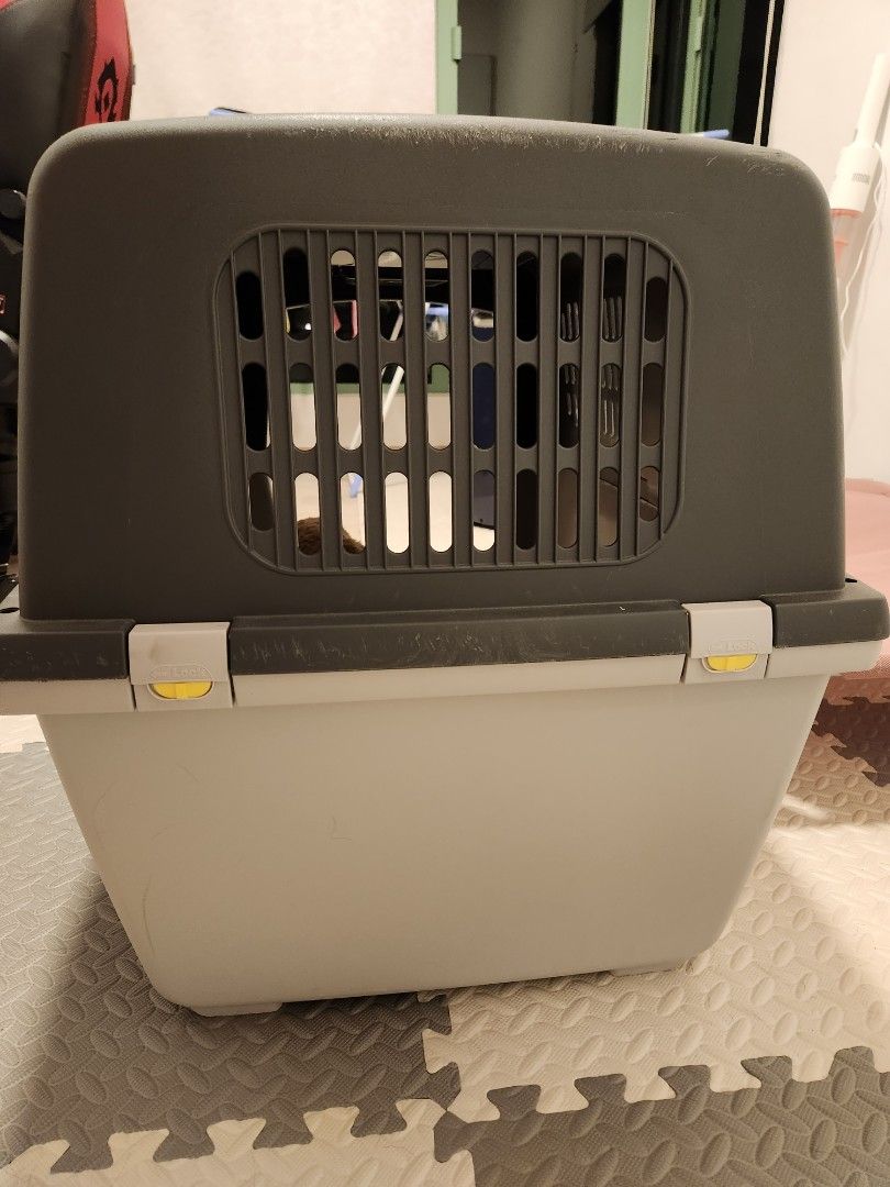 Stefanplast Gulliver 6 IATA Dog Carrier Pet Supplies Homes