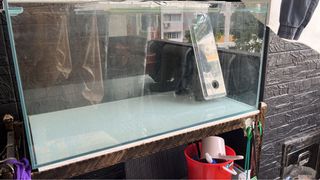 (Category: ) located in . Submitted by nichx (Listing ID 1239746916, Image 1). Description: .
