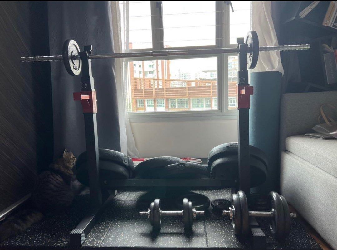 Adjustable bench and squat rack & gym mats, Sports Equipment, Exercise & Fitness, Cardio