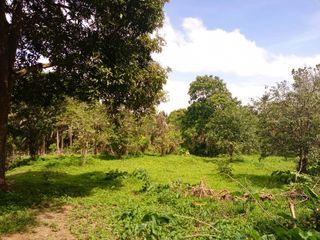 Affordable lot for sale for Retirement or vacation house near Twin lakes Hotel Tagaytay