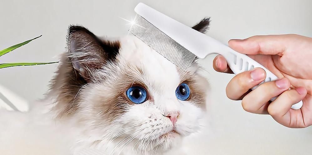 Cat grooming cage sales