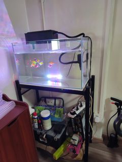 (Category: ) located in . Submitted by susancsh79 (Listing ID 1239760449, Image 1). Description: .