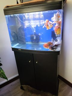 (Category: ) located in . Submitted by jmlacuna100 (Listing ID 1239862518, Image 1). Description: .