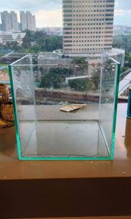 (Category: ) located in . Submitted by everything_also_buy (Listing ID 1239715211, Image 1). Description: .