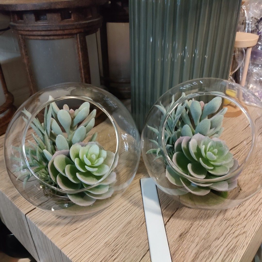 Glass Terrarium (fake plants), Furniture & Home Living, Home Decor