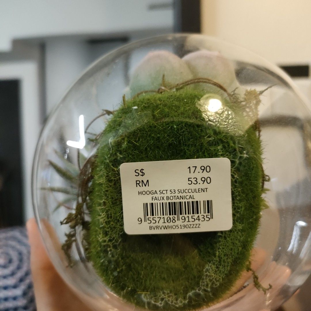 Glass Terrarium (fake plants), Furniture & Home Living, Home Decor