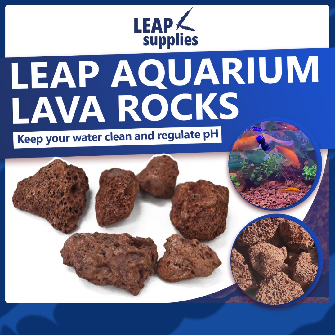 LEAP Aquarium Lava Rocks Aquarium Filter Lava Stone Rock, Pet