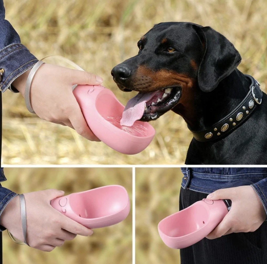 Paw Collection's Portable Drinking Water Bottle Outdoor Activities for ...