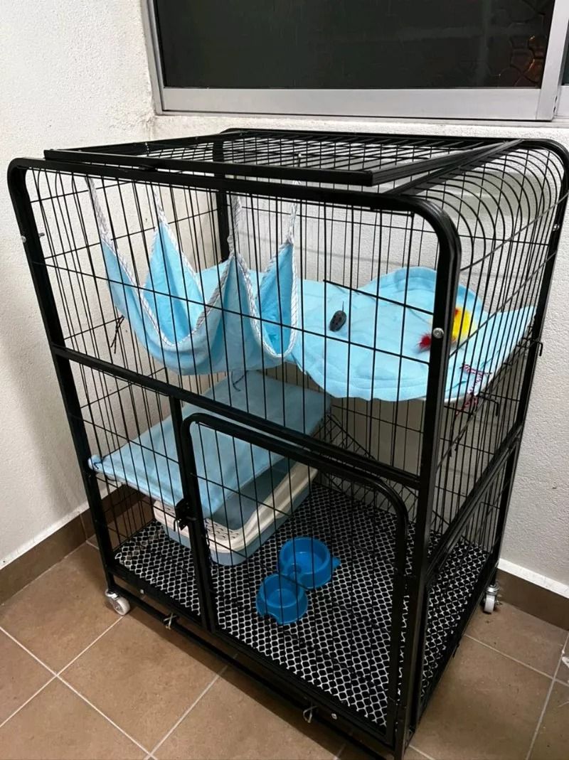 Cat cage carousell new arrivals