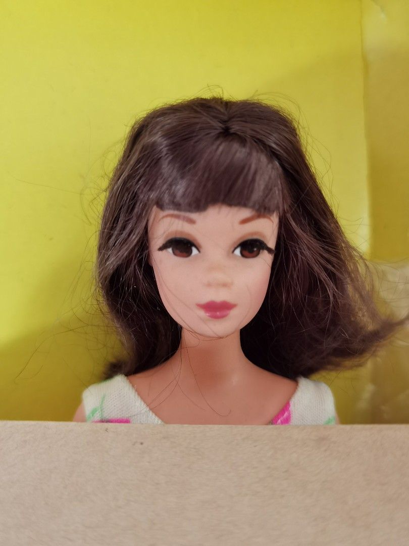 Francie barbie doll 30th anniversary 2025