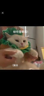 搬家清衣服～