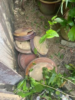 (Category: ) located in . Submitted by harithsyukri (Listing ID 1239947893, Image 1). Description: .