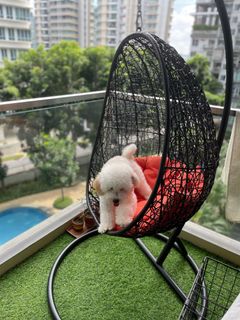 (Category: ) located in . Submitted by nishant15oct (Listing ID 1239896715, Image 1). Description: .