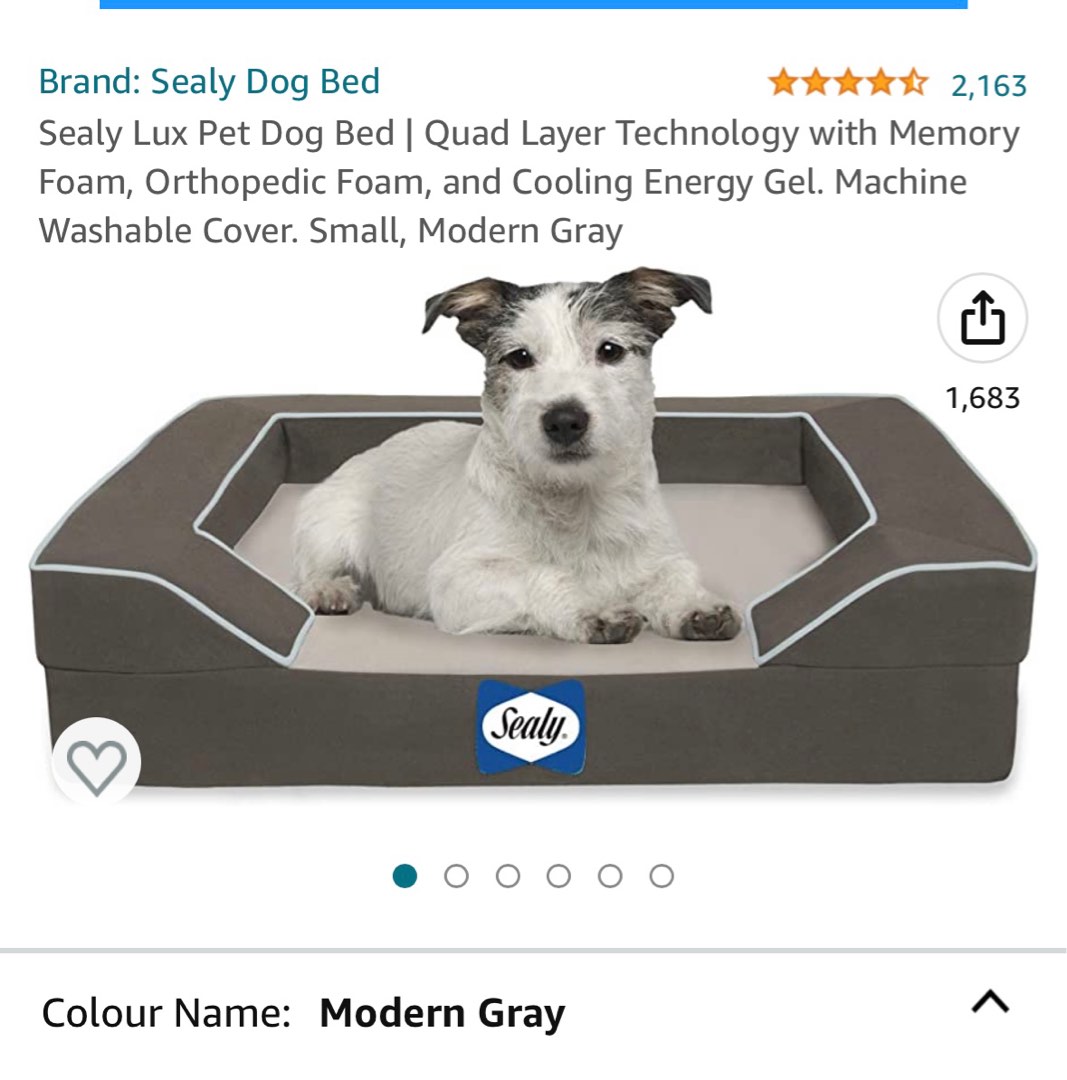 Sealy dog mattress sales