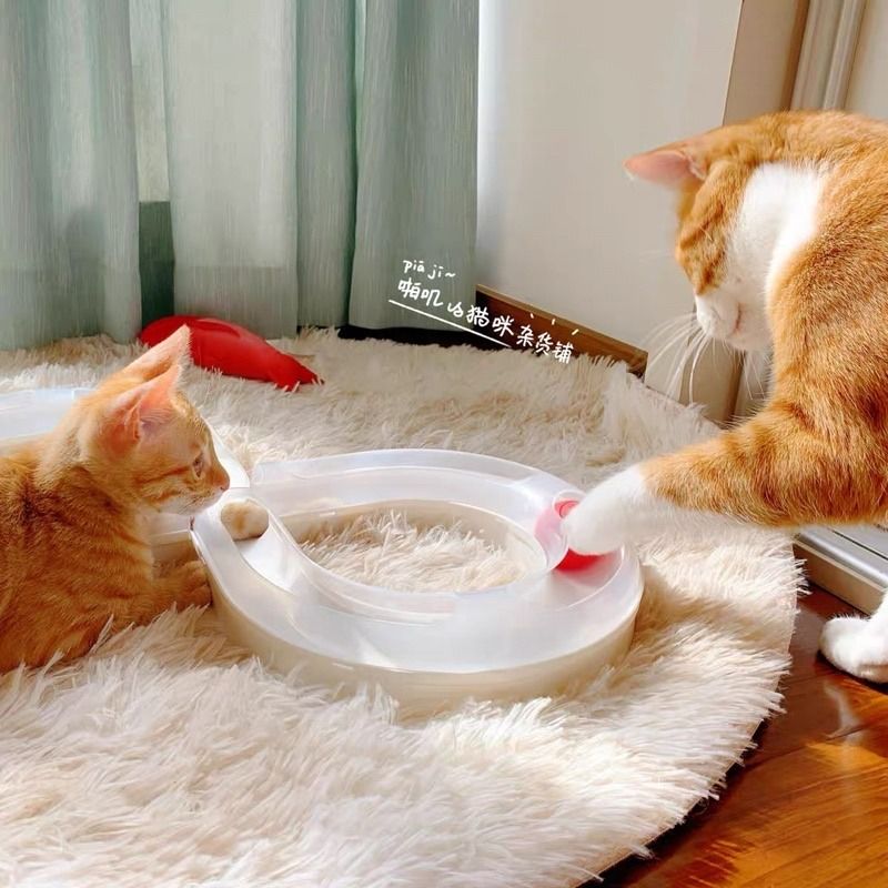Carno Cat infinite tunnel pet toy with ball