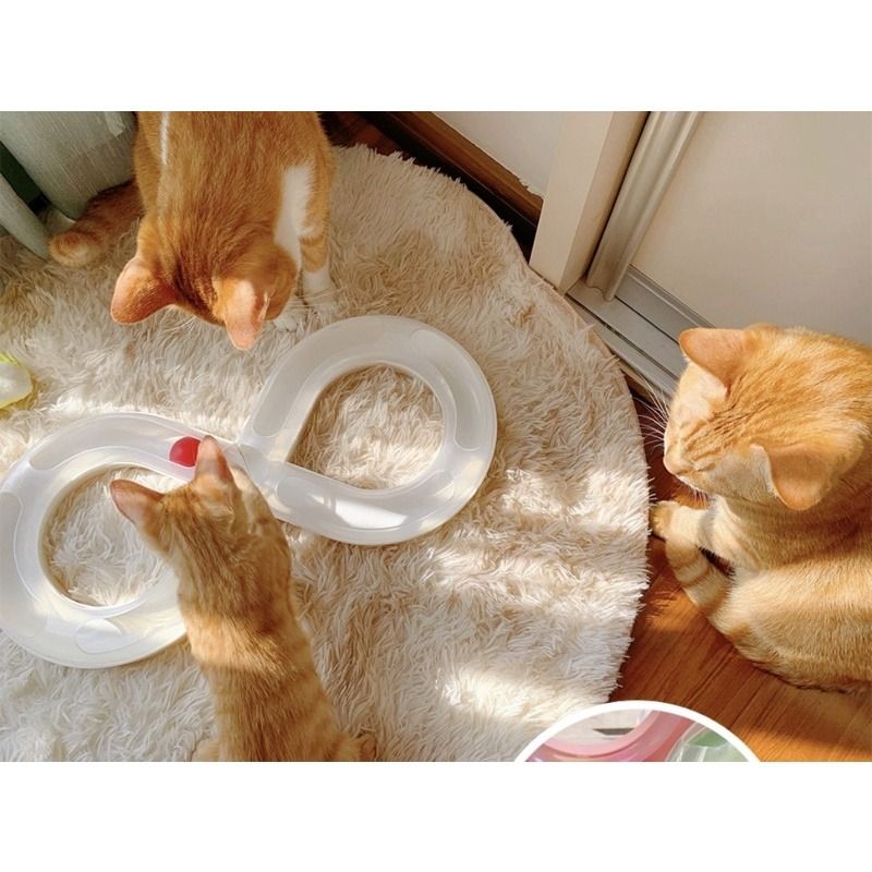 Carno discount cat toy